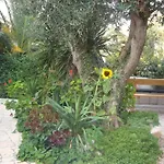 Antonio - One Bedroom With Terrace C