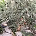 Antonio - One Bedroom With Terrace C Lejlighed *