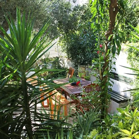 Apartment Antonio - One Bedroom With Terrace C Orebic