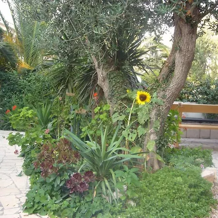 Antonio - One Bedroom With Terrace C