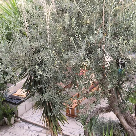 Antonio - One Bedroom With Terrace C Apartment *